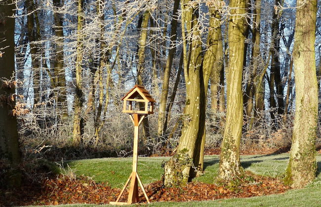 New House on the Edge of a Large Forest, Large Garden,very Quiet, Beautiful Area - Foto 30