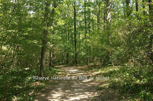 Photo 36 - New House on the Edge of a Large Forest, Large Garden,very Quiet, Beautiful Area