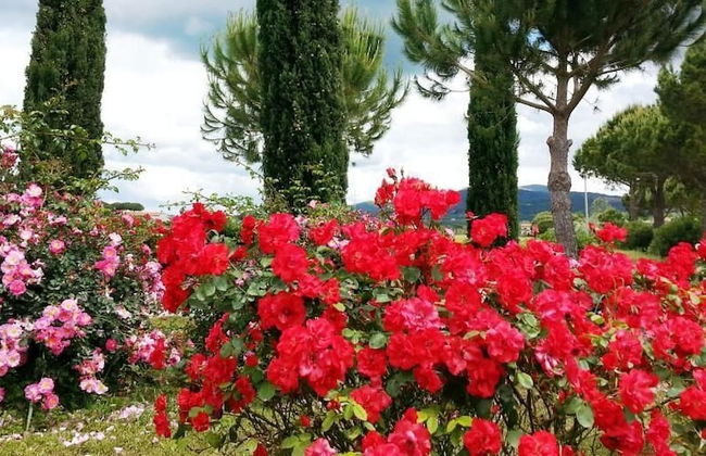 Agriturismo Villa Toscana - Foto 45