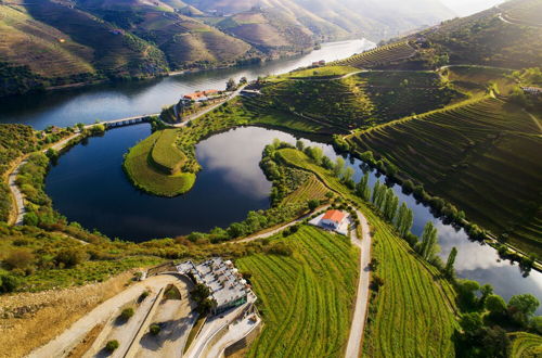 Photo 73 - Vila Galé Douro Vineyards