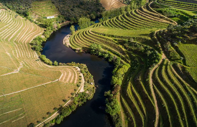 Vila Gale Douro Vineyards Hotel - Foto 50