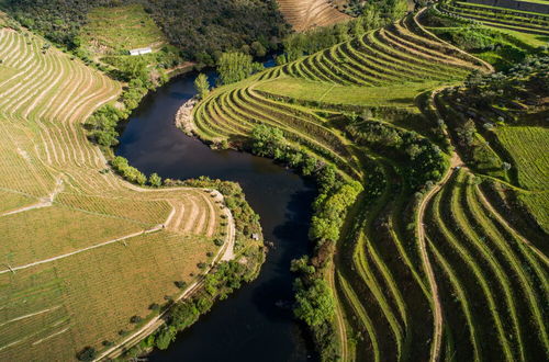 Photo 50 - Vila Galé Douro Vineyards