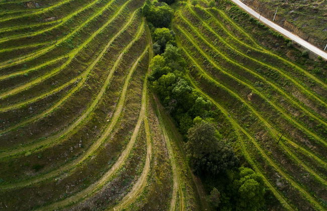 Vila Gale Douro Vineyards Hotel - Foto 51