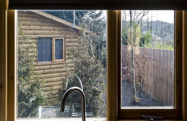Laurel Lodge - Log Cabin - St Florence - Foto 30