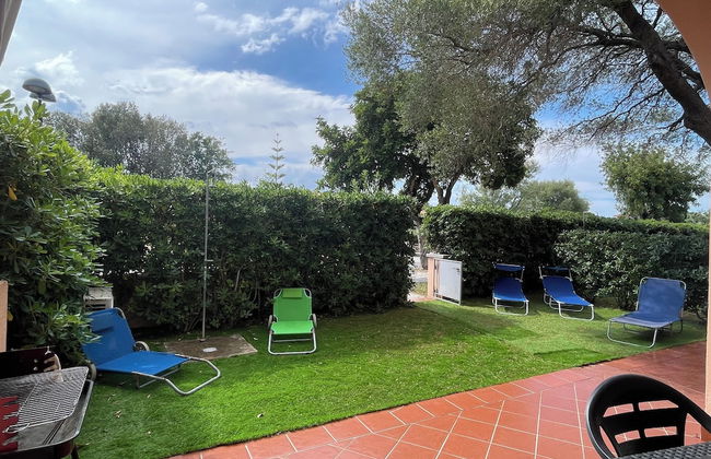 Vecchio Ulivo - Photo 38