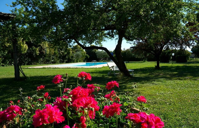 Villa La Contessa - Villa La Contessa - Foto 18