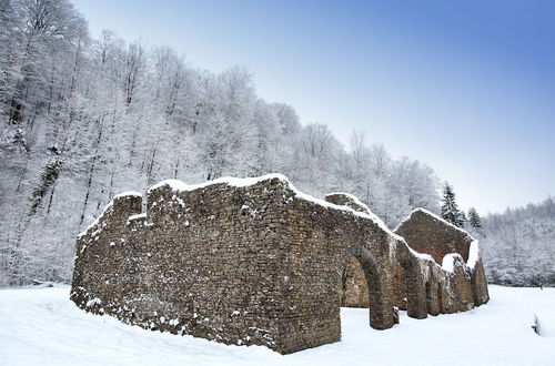 Foto 46 - Le Manoir de la Rulette