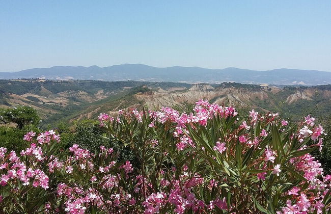 Blue House Near Bagnoregio-overlooking the Umbrian Mountains and Tiber Valley - Foto 55