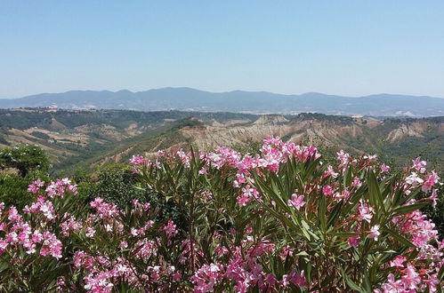 Foto 55 - Blue House Near Bagnoregio-overlooking the Umbrian Mountains and Tiber Valley