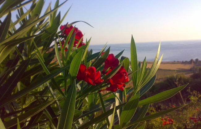 "scopello Savi-sea View House" - Foto 5