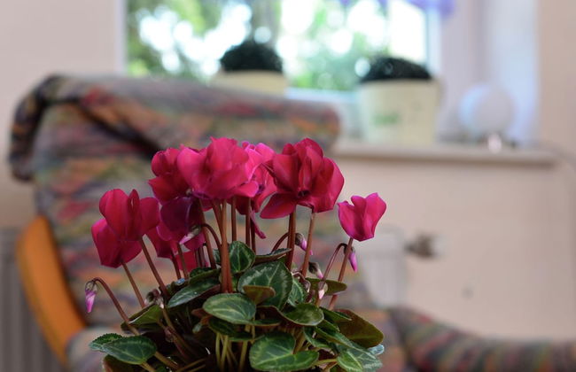 Spacious Home, Sauerland - Foto 25
