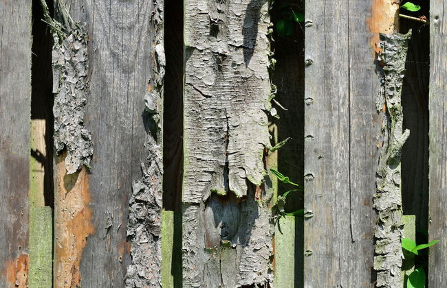 Spacious Home, Sauerland - Foto 27