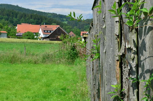 Photo 26 - Holiday Home in Stormbruch With Terrace