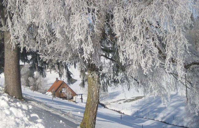 Ferienhaus in Brigach - Foto 17