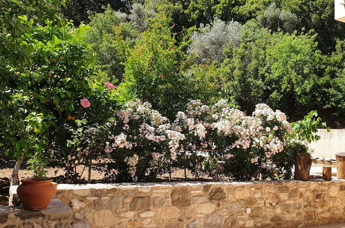 Photo 10 - Chaihoutes stone House into Olive farm in Zia