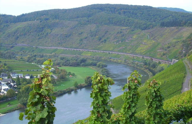 Attractive Apartment in Zell near River - Foto 32