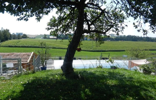 Ferienhof Löw - Foto 24