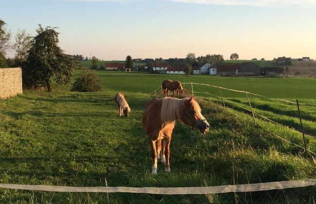 Ferienhof Löw - Foto 29