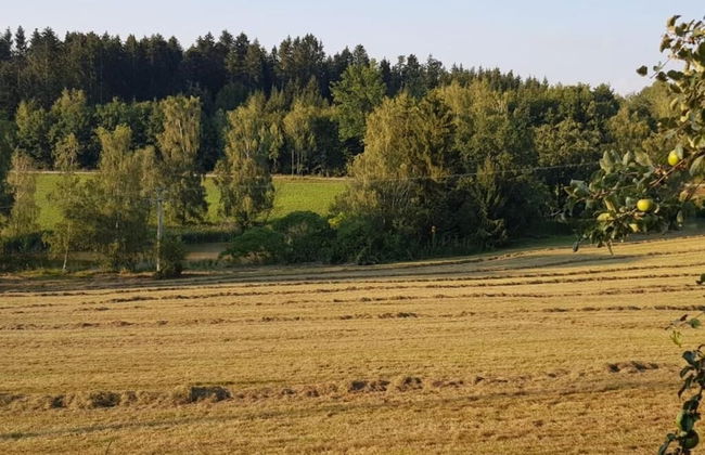 Ferienhof Löw - Foto 14