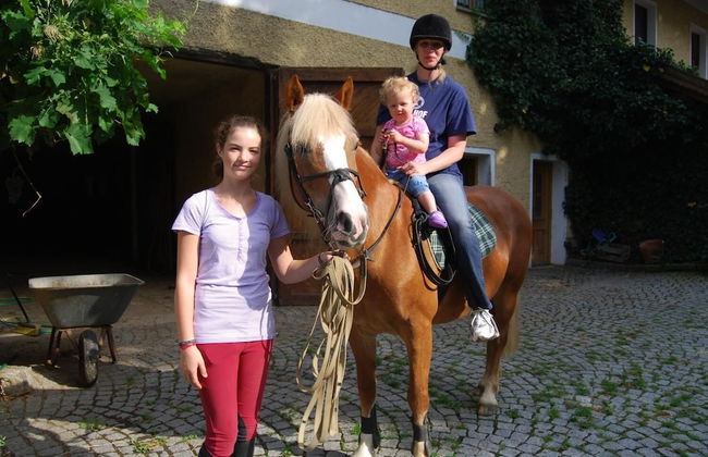 Ferienhof Löw - Foto 23