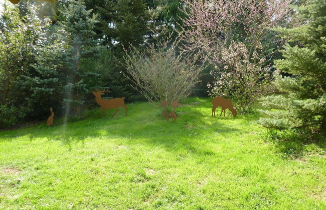 Birkenhof - Foto 14