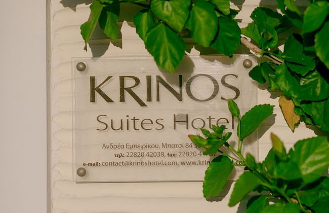 Krinos Suites Hotel - Foto 52
