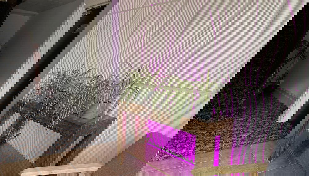 Image principale