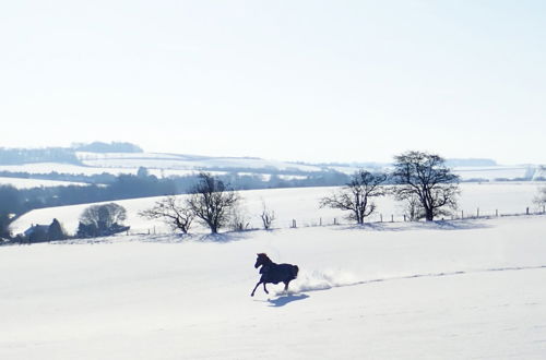 Photo 49 - Manor Farm B & B