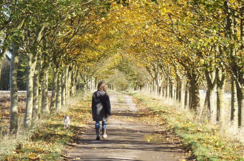 Photo 45 - Manor Farm B & B