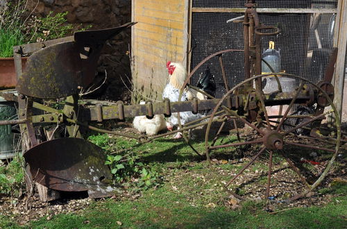 Photo 80 - La Ferme de Flo'