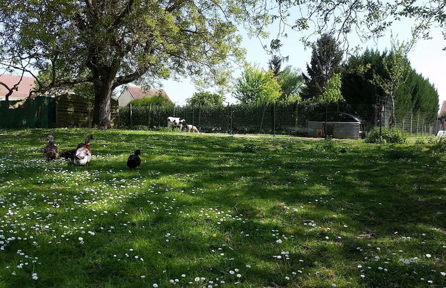 La Ferme de Flo' - Foto 73