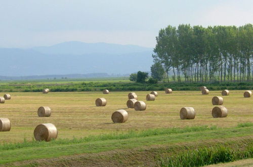 Photo 32 - Holiday Home Between Florence and Pisa