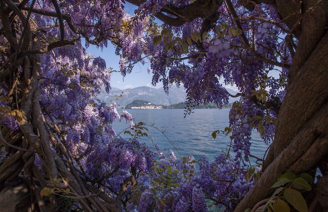 Nobiallo Fantastico - Foto 16