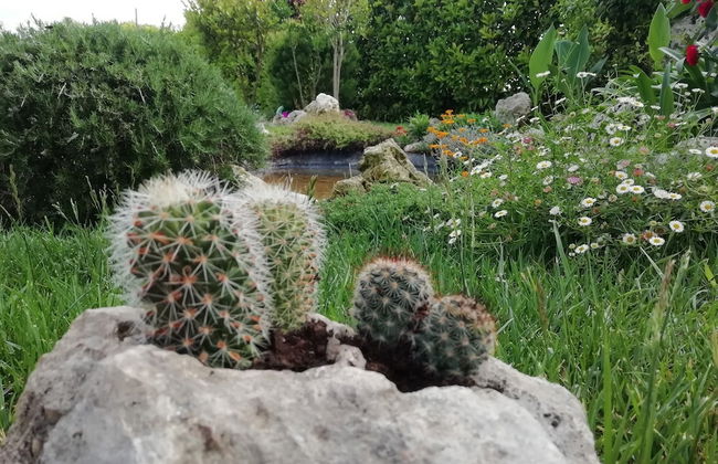 Villetta Dote - Foto 49