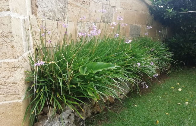 Villetta Dote - Foto 26