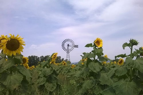 Foto 36 - Vento di Maremma