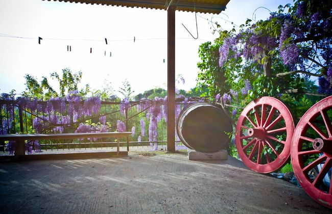 Agriturismo Cognanello - Foto 27