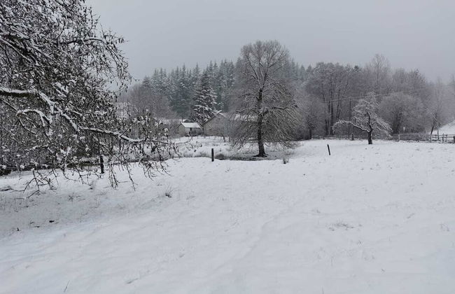 Forest-edge Stay, Burtonville - Foto 38