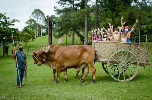 Photo 48 - Chiminelli Hotel Fazenda e Eventos