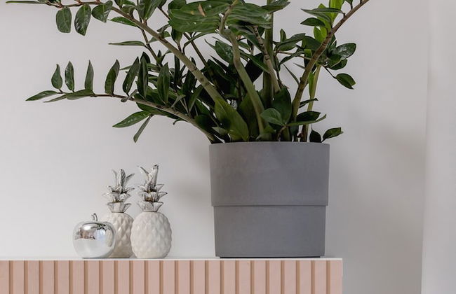 Ceglana Park Studio Katowice by Renters - Foto 56