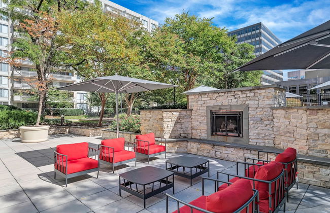 Bright Comfort in DC Apts - Foto 3