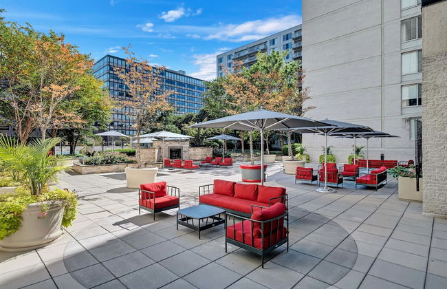 Bright Comfort in DC Apts - Foto 4