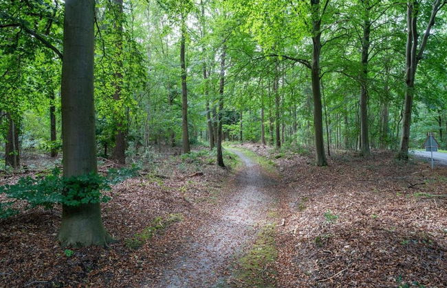Quiet Glade Stay With Kid - Foto 40