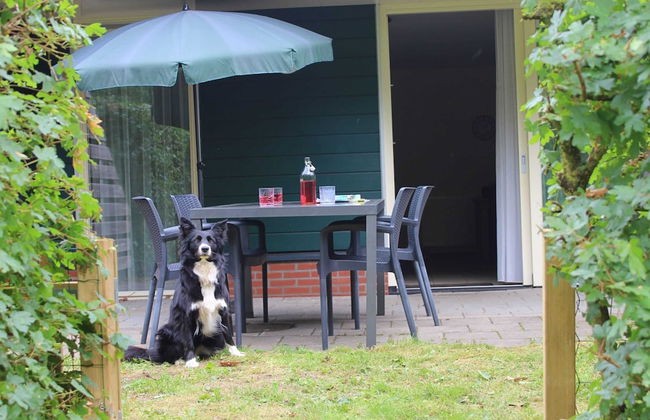 Quiet Glade Stay With Kid - Foto 44