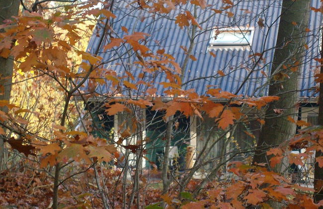 Relaxing Woodland Retreat - Foto 21