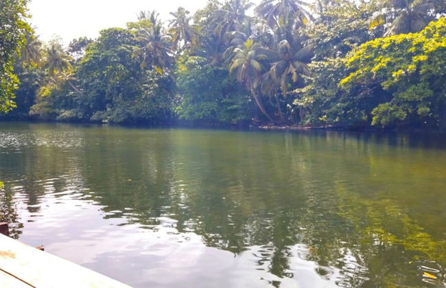 Serene Vista Villa - Photo 31