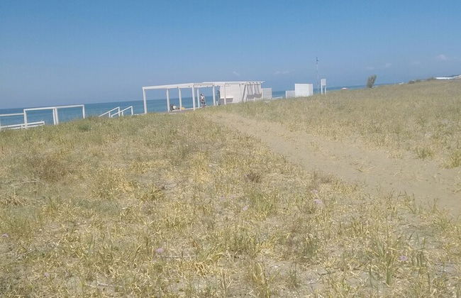 Apartment With Garden Close To The Beach - Foto 35
