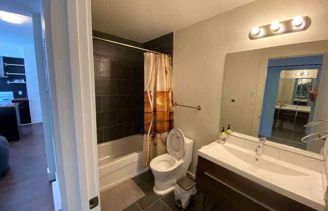 Brand New 1 Br 1 Bath Close To All Walkable - Foto 7