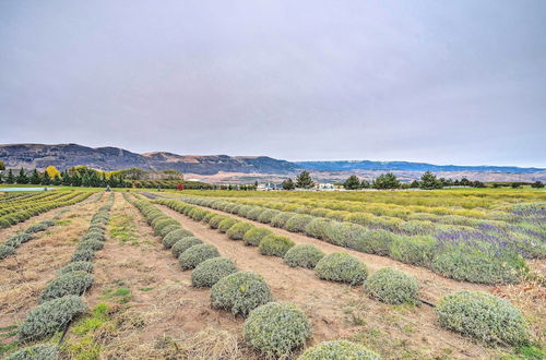 Photo 15 - Modern East Wenatchee Studio on Working Farm