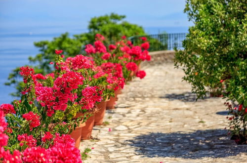 Photo 14 - Villa Aphrodite Corfu City